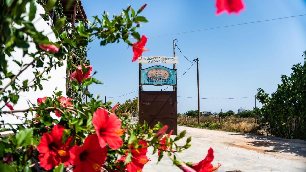 Apartament Maestralia Skyros Zewnętrze zdjęcie