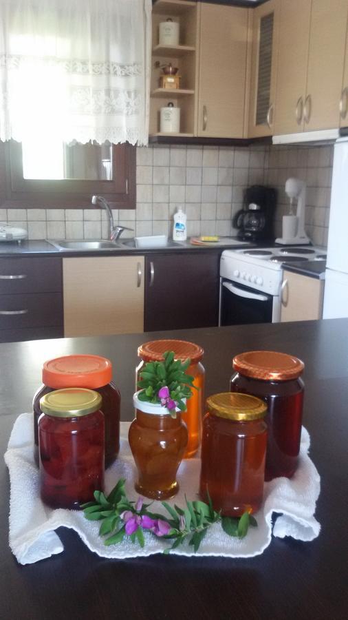 Apartament Maestralia Skyros Zewnętrze zdjęcie